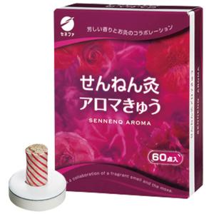 せんねん灸オフ レギュラーきゅう 伊吹 380点入 : くすりの勉強堂