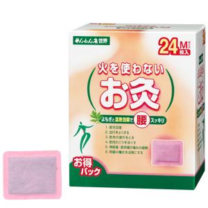 せんねん灸の奇跡 レギュラー 220点入 : くすりの勉強堂 アネックス
