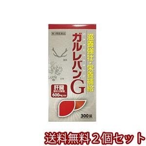 【第3類医薬品】 ガルレバンG 300錠×2個セット あすつく対応｜benkyoannexx