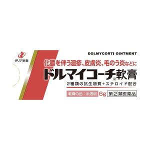 【第(2)類医薬品】 ドルマイコーチ軟膏 6g メール便送料無料｜くすりの勉強堂