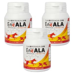 エネアラ×5本 エネアラ 犬猫用 体重1kg〜5kg 1日0.5粒30日分 : Ant.Pack獣医師