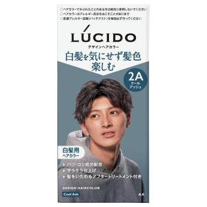 ルシード(LUCIDO) デザインヘアカラー クールアッシュ｜benkyoudou