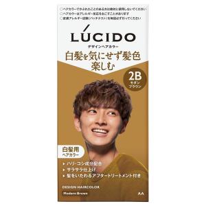 【３６個セット】【１ケース分】ルシード　デザインヘアカラー　モダンブラウン×３６個セット　１ケース分 LUCIDO(ルシード) デザインヘアカラー モダンブラウン 白髪染め メンズ