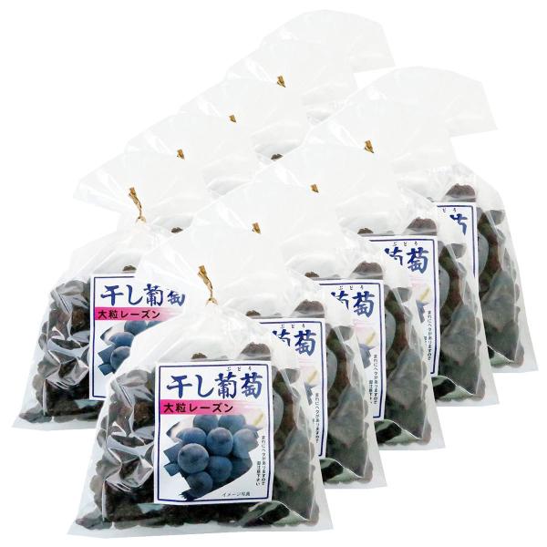 ナガトク 干し葡萄 大粒レーズン 370g×10個セット 送料無料