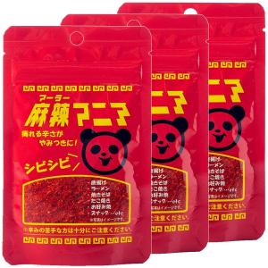 麻辣マニア 30g×3個セット メール便送料無料｜benkyoudou