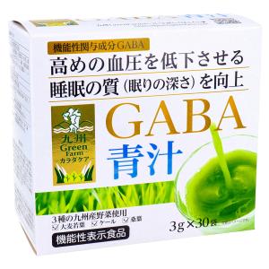 九州Green Farmカラダケア GABA青汁...の商品画像