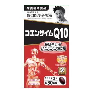 野口医学研究所 コエンザイムQ10 60粒 送料無料｜benkyoudou