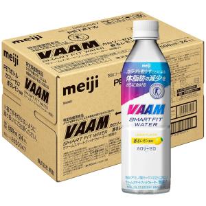 明治（meiji） ヴァームウォーター アップル風味 500mL ペット