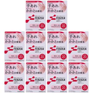 フェルゼア HA20クリーム 160g×10個セット