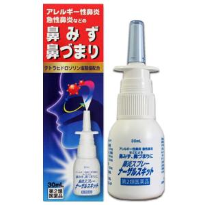 【第2類医薬品】 ナーザルスキット 30ml / ナザール コールタイジンをお使いの方に｜benkyoudou