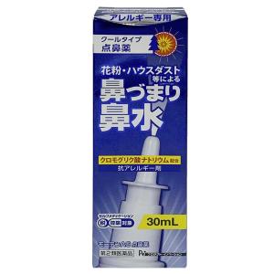 【第2類医薬品】モーテンＡＧ点鼻薬 30ml ※セルフメディケーション税制対象商品 あすつく対応｜benkyoudou