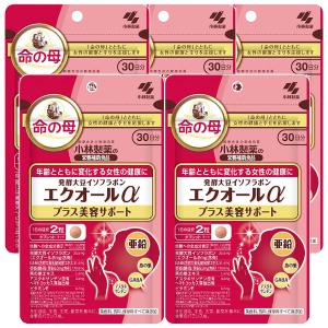 小林製薬 発酵大豆イソフラボン エクオールα プラス美容サポート 60粒