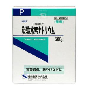 第3類医薬品 ケンエー 炭酸水素ナトリウムｐ 重曹 500ｇ くすりの勉強堂 通販 Paypayモール