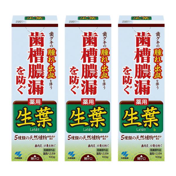 小林製薬 薬用 生葉（しょうよう）b 100g×3個セット 医薬部外品 メール便送料無料