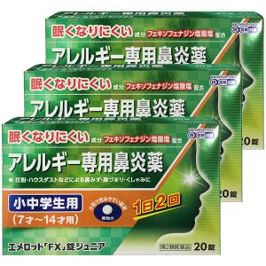 【第2類医薬品】エメロットFX錠ジュニア 20錠×3個セット ※セルフメディケーション税制対象商品 メール便送料無料｜benkyoudou