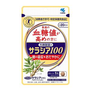 新品★小林製薬 サラシア100 20日分×4袋セット 送料無料★激安 サラシア100 約20日分 食後の血糖値が高めの方に ( 60粒入×2コセット