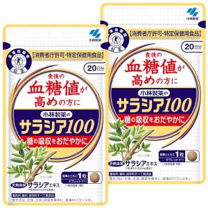 小林製薬 サラシア100 60錠(約20日分) ...の商品画像