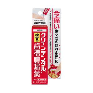 【第3類医薬品】 クリーンデンタルN 歯槽膿漏薬 8g メール便送料無料｜benkyoudou