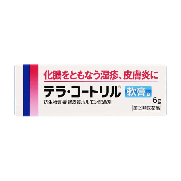 【第（2）類医薬品】 テラ・コートリル軟膏a 6g×2個セット メール便送料無料