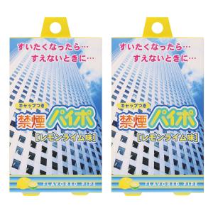 禁煙パイポ レモンライム味 3本入×2個セット メール便送料無料