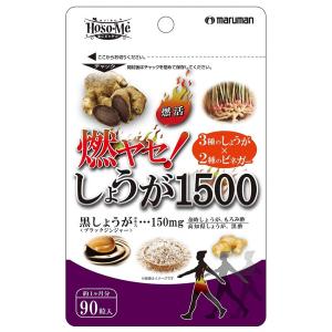 燃ヤセ！ しょうが1500 90粒 メール便送料無料｜benkyoudou