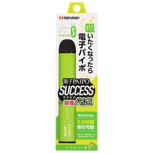 電子PAIPO SUCCESS マスカット味 メ...の商品画像