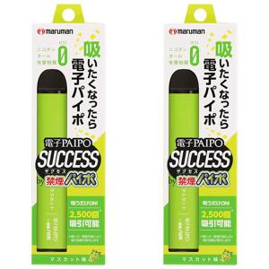 電子PAIPO SUCCESS マスカット味 2...の商品画像