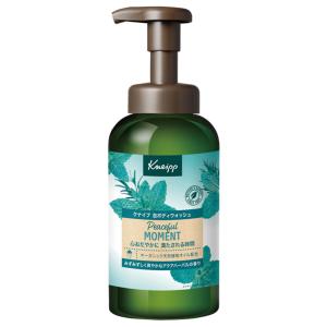 クナイプ 泡ボディウォッシュ グーテナハト ホップ＆バレリアンの香り