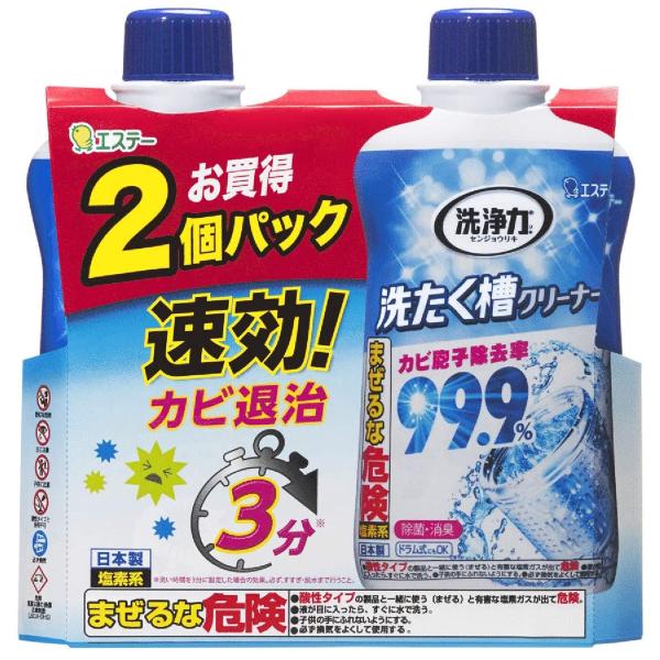 洗浄力 洗たく槽クリーナー 550g×2個パック