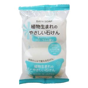 植物生まれのやさしい石けん 2個入の商品画像