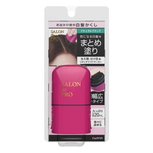 サロンドプロ 泡のヘアカラー・エクストラリッチ 2B 白髪用 明るい