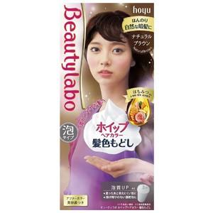 BeautyLabo（ビューティラボ） ホイップヘアカラー 髪色もどし ナチュラルブラウン 40g+80mL+5mL｜benkyoudou