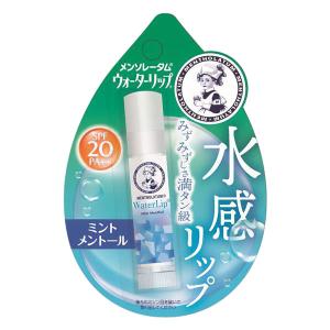 メンターム ワセリンリップ ( 10g*100個セット )/ : 爽快ドラッグ