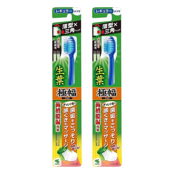 小林製薬 生葉 極幅ブラシ レギュラー ふつう 1本入×2本セット メール便送料無料