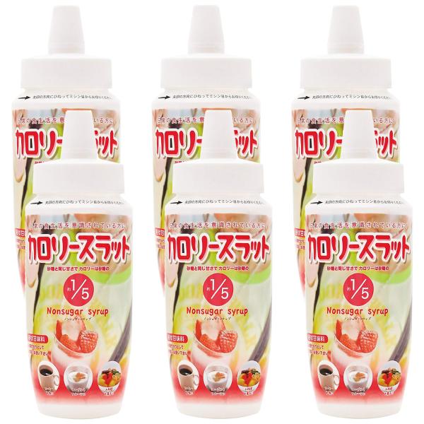 カロリースラット 500g×6個セット 送料無料