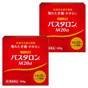 【第3類医薬品】 パスタロンM20α 100g×2個セット 送料無料｜benkyoudou