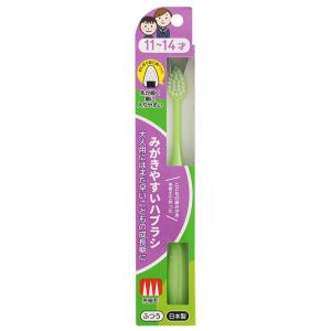 みがきやすいハブラシ 11〜14才用 先細 LT-41(1本)｜benkyoudou