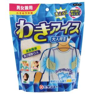 LION 冷えピタ ボディ用 大人用 12枚入 : くすりの勉強堂 - 通販