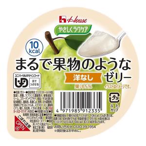 やさしくラクケア まるで果物のようなゼリー 洋な...の商品画像