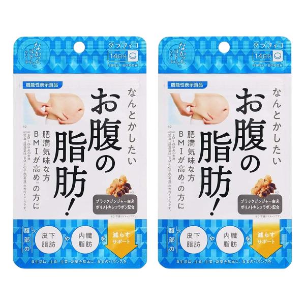 なんとかしたい お腹の脂肪！ 28粒×2個セット メール便送料無料