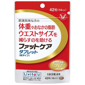 ファットケアタブレット 42粒(14日分)