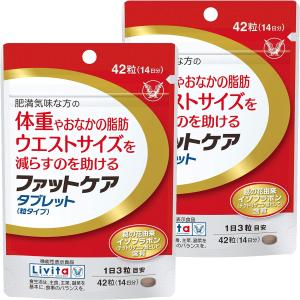 ファットケアタブレット 42粒(14日分)×2個セット メール便送料無料