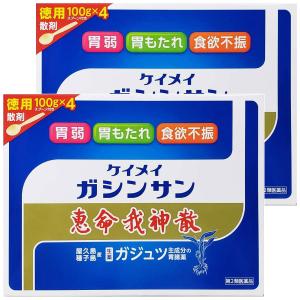 【第2類医薬品】 恵命我神散 400g ×2個セット あすつく対応｜benkyoudou