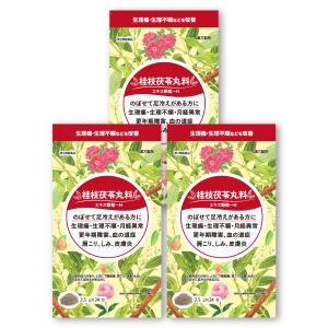 【第2類医薬品】 本草 桂枝茯苓丸料エキス顆粒-H 2.5g×24包 3個セット 送料無料 / ケイシブクリョウガン あすつく対応｜benkyoudou