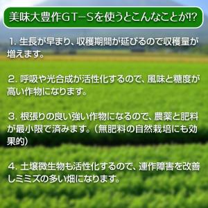 植物活力剤 美味大豊作GT-S 10リットル ...の詳細画像3