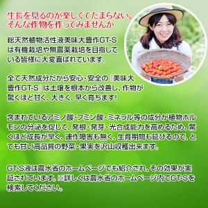植物活力剤 美味大豊作GT-S 10リットル ...の詳細画像4