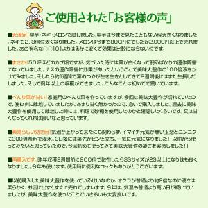 植物活力剤 美味大豊作GT-S 20リットル ...の詳細画像5