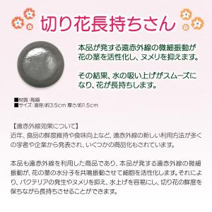 切り花延命剤 切り花長持ちさん 花瓶にポンと入...の詳細画像2