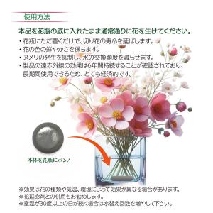 切り花延命剤 切り花長持ちさん 花瓶にポンと入...の詳細画像3