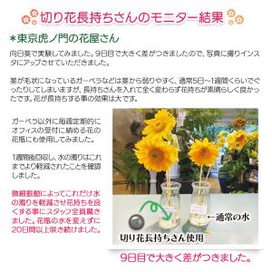切り花延命剤 切り花長持ちさん 花瓶にポンと入...の詳細画像4